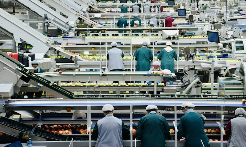 Línea de producción en una planta